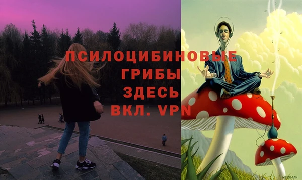 PSILOCYBIN Верхний Тагил